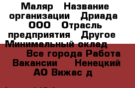 Маляр › Название организации ­ Дриада, ООО › Отрасль предприятия ­ Другое › Минимальный оклад ­ 18 000 - Все города Работа » Вакансии   . Ненецкий АО,Вижас д.